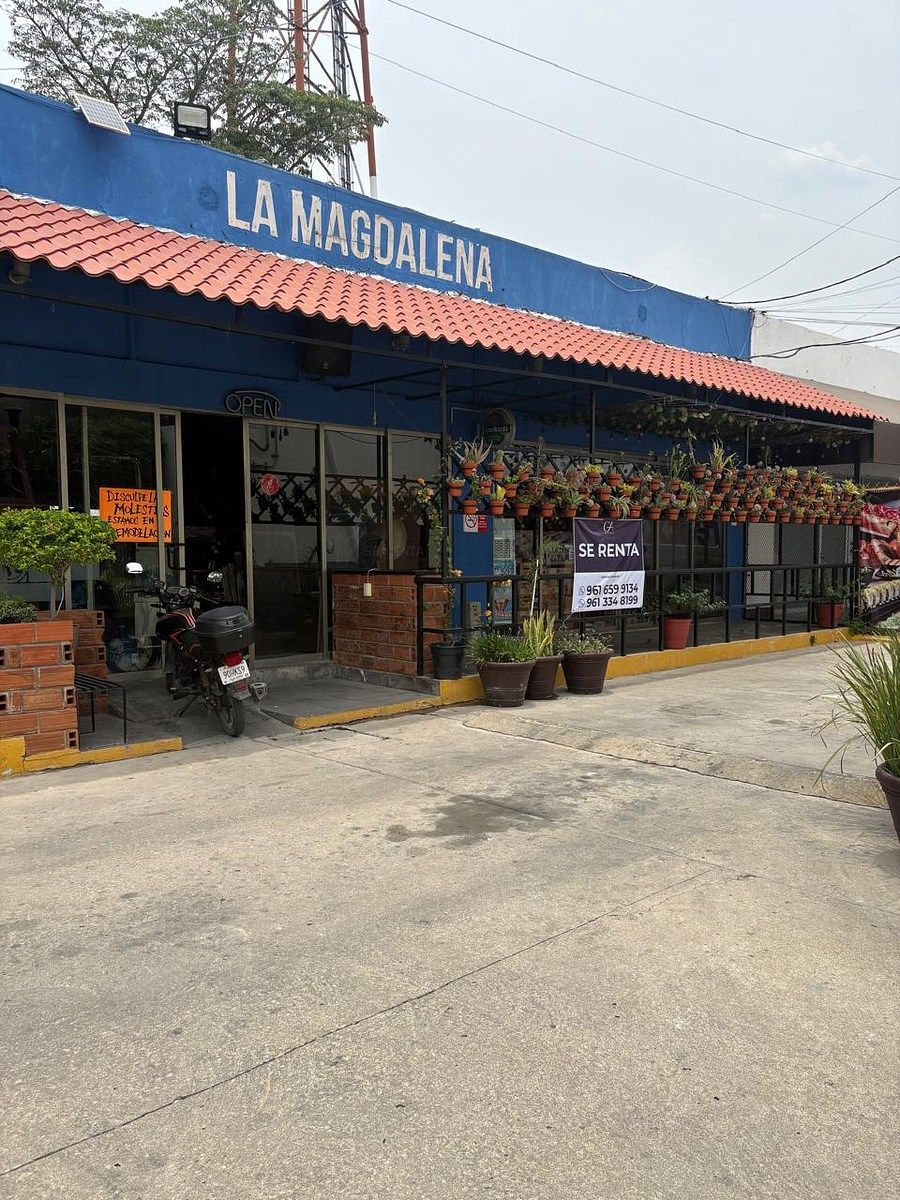 1 de 14
