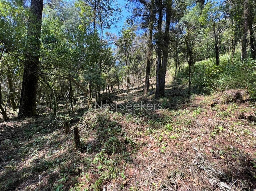 Terreno en San Simón el Alto, Valle de Bravo, foto 3 de 10