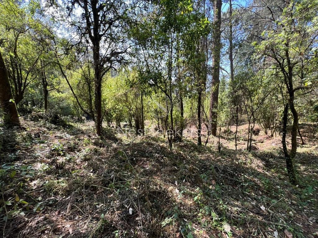Terreno en San Simón el Alto, Valle de Bravo, foto 2 de 10
