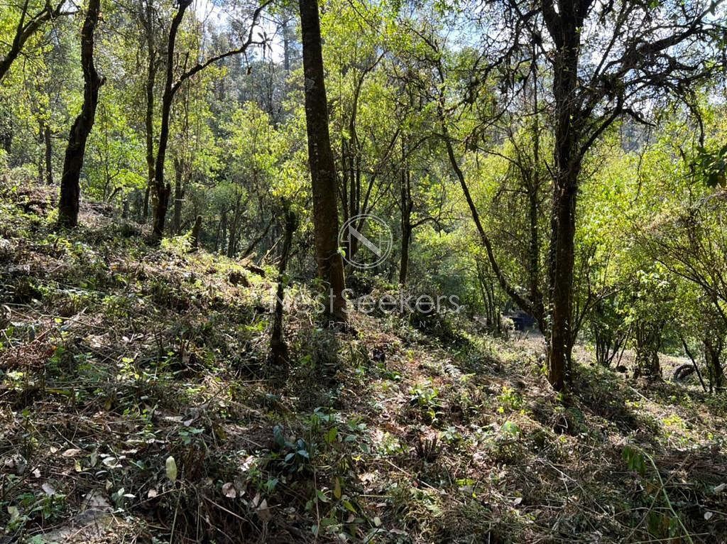 Espectacular Terreno en San Simón, foto 1 de 10