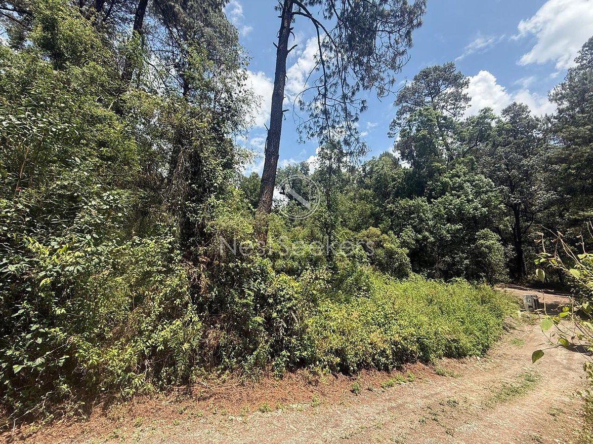 Terreno en San Simón el Alto, Valle de Bravo, foto 5 de 10