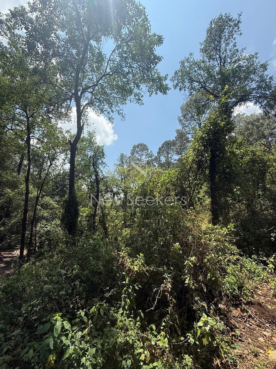 Terreno en San Simón el Alto, Valle de Bravo, foto 6 de 10