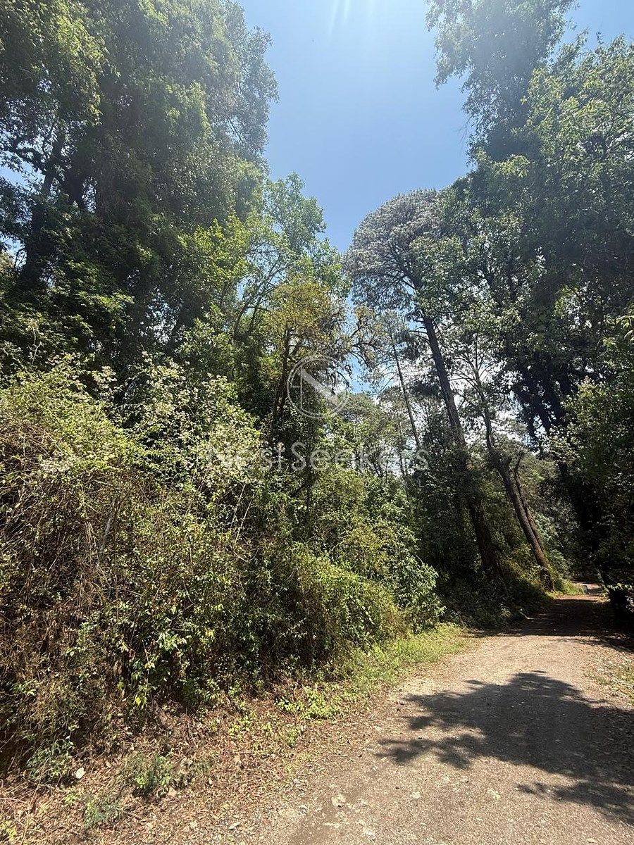 Terreno en San Simón el Alto, Valle de Bravo, foto 7 de 10