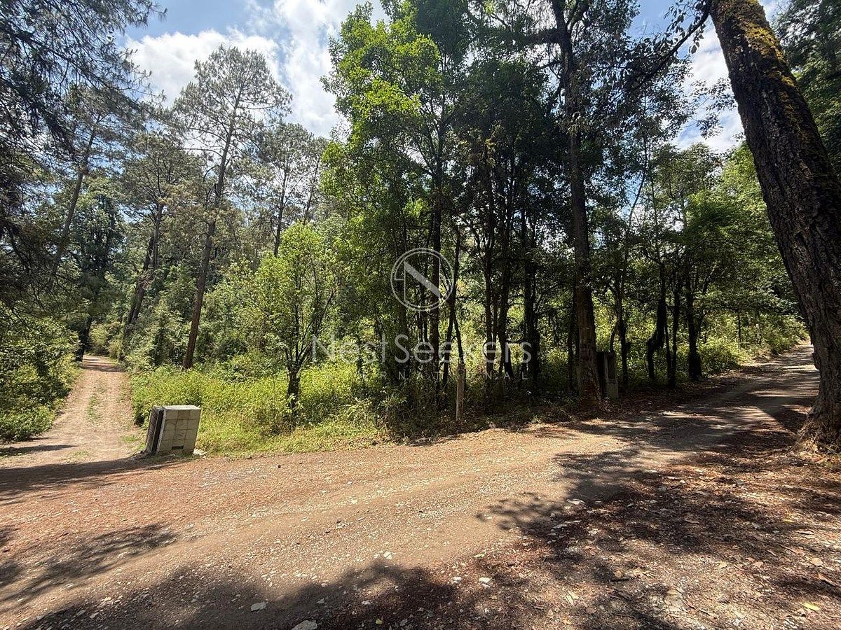 Terreno en San Simón el Alto, Valle de Bravo, foto 8 de 10
