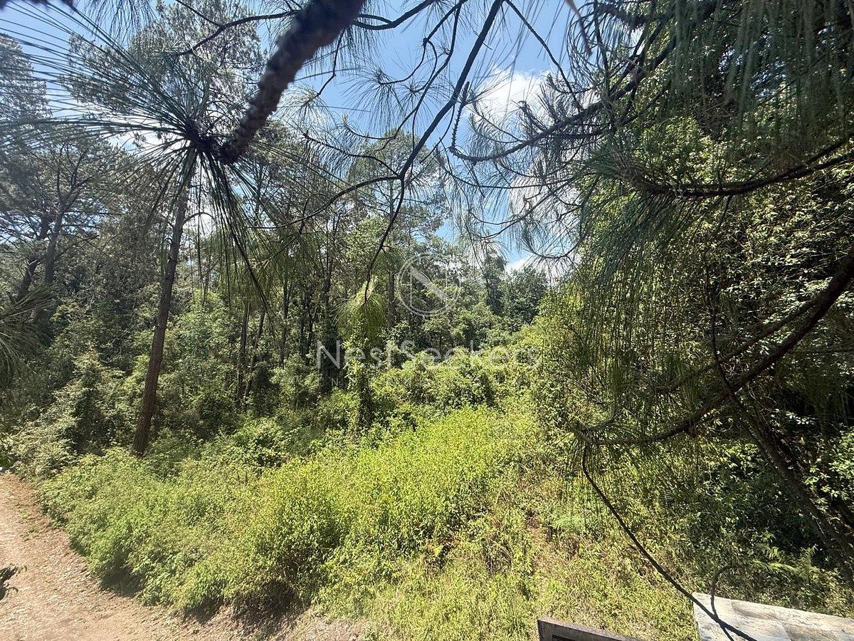 Terreno en San Simón el Alto, Valle de Bravo, foto 9 de 10