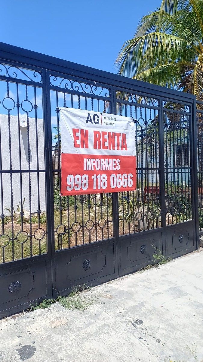 6 de 6