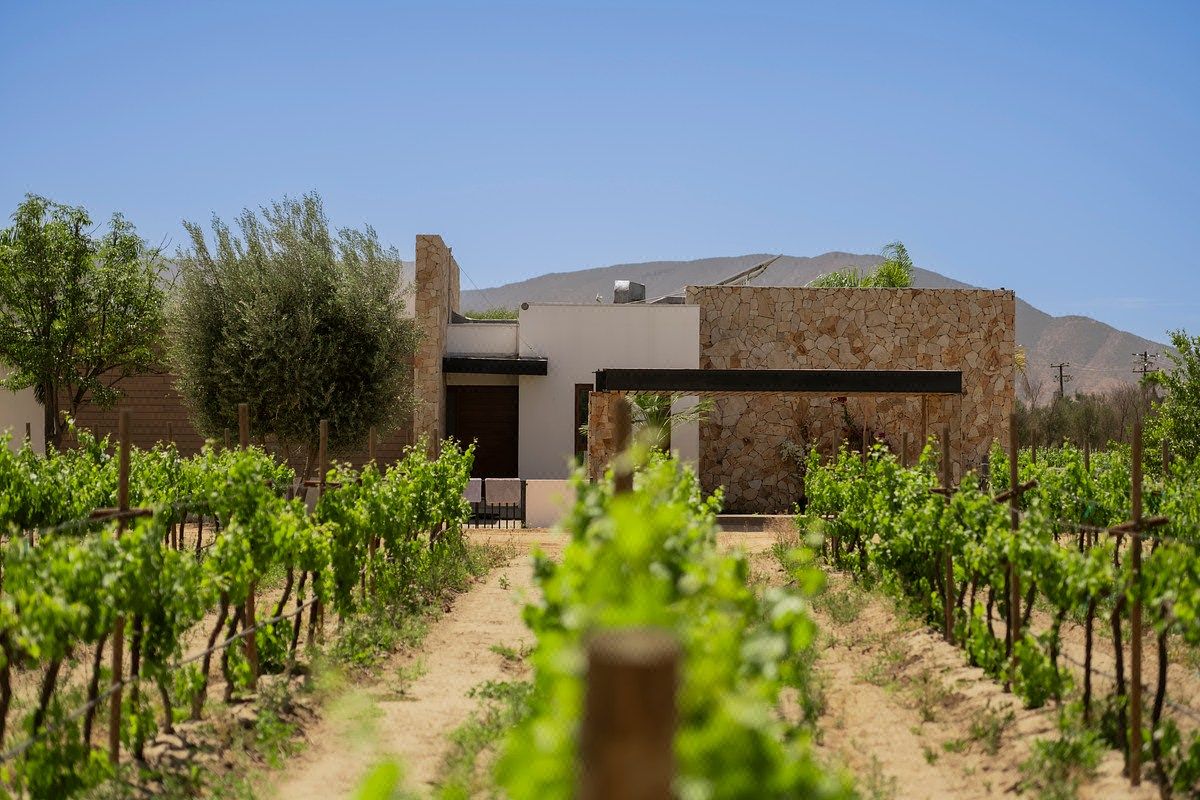 Invierte en el Nuevo Lifestyle de Valle de Guadalupe