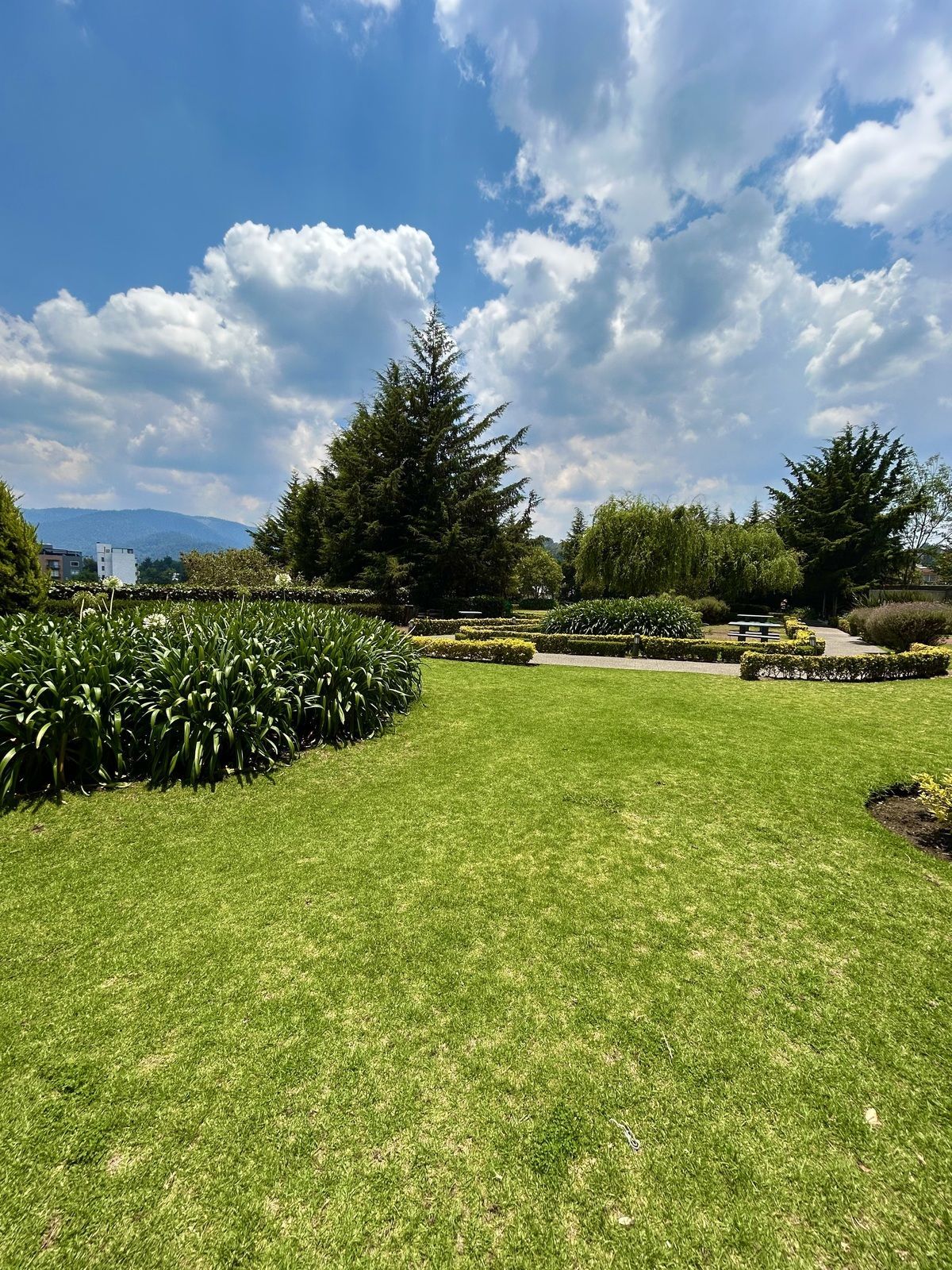 15 de 27: jardines