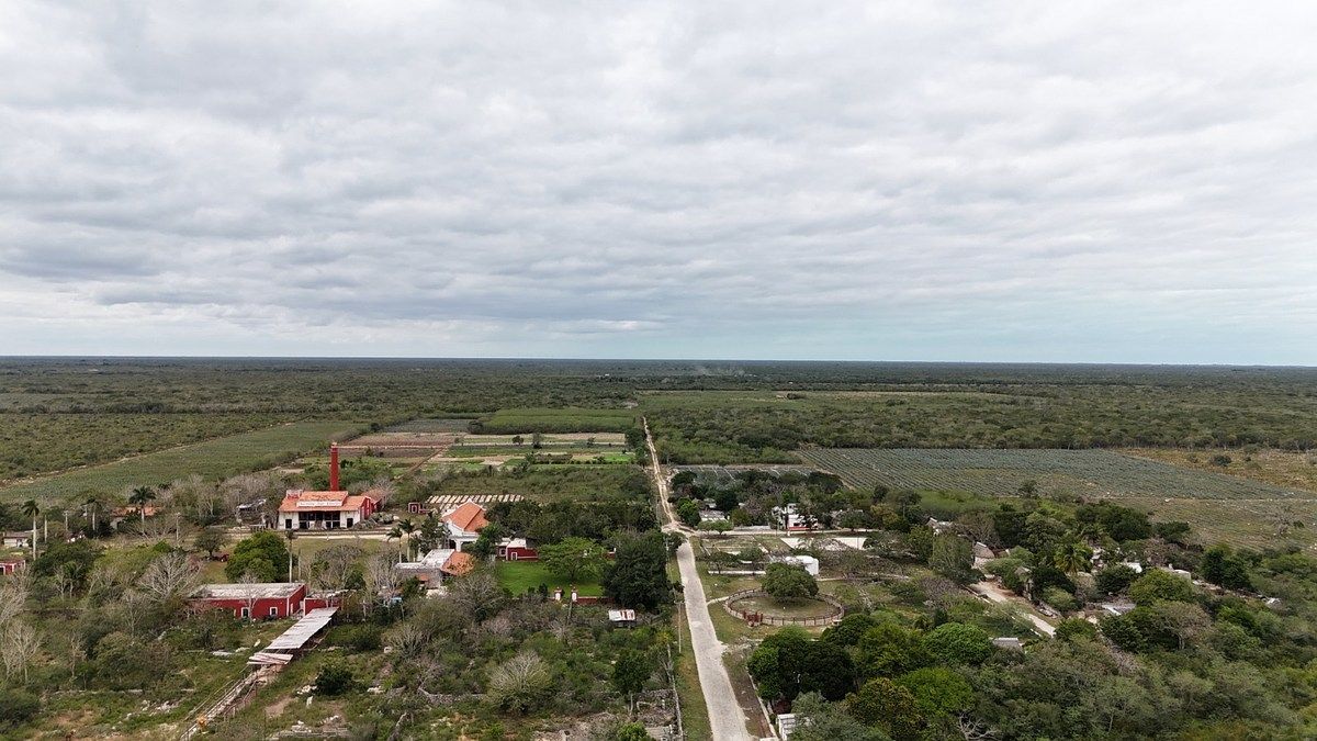 Lot in Dzemul, Dzemul, photo 6 of 6