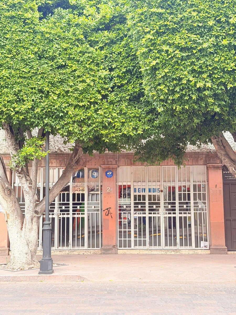 2 de 8