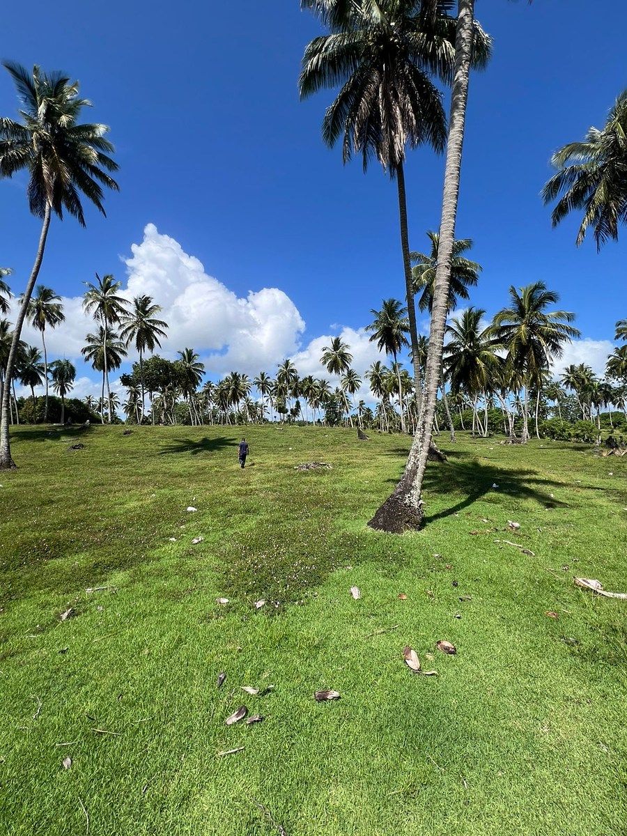 Terreno en Nagua, foto 2 de 10