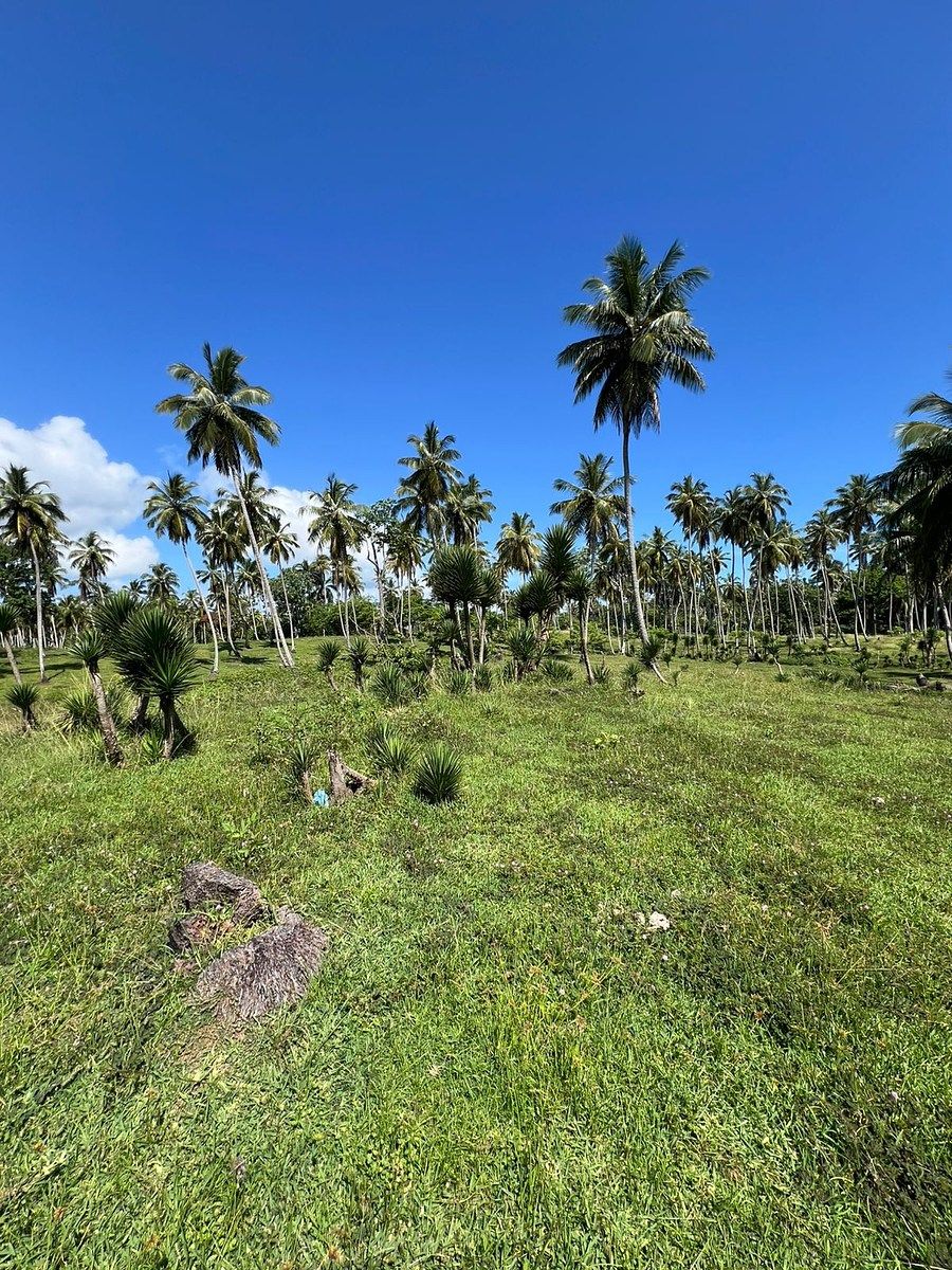 Terreno en Nagua, foto 3 de 10