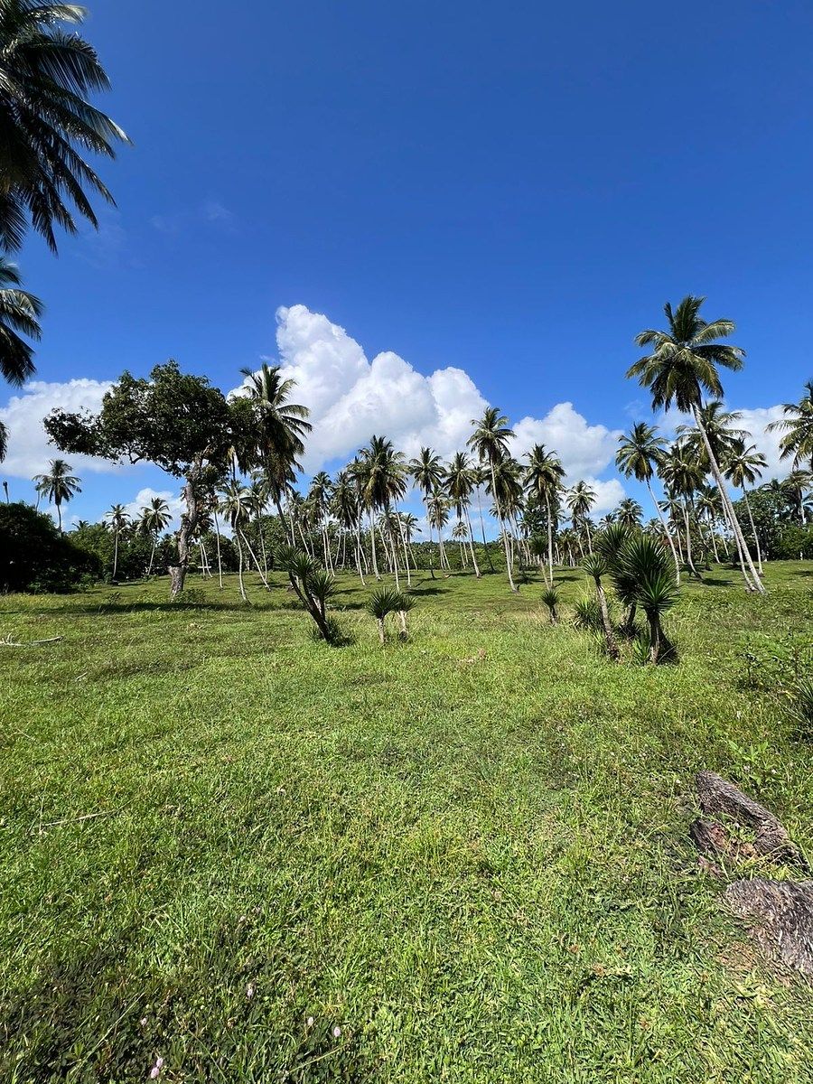 Terreno en Nagua, foto 4 de 10