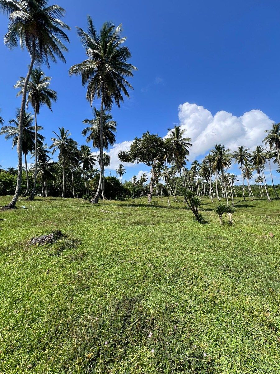 Terreno en Nagua, foto 5 de 10