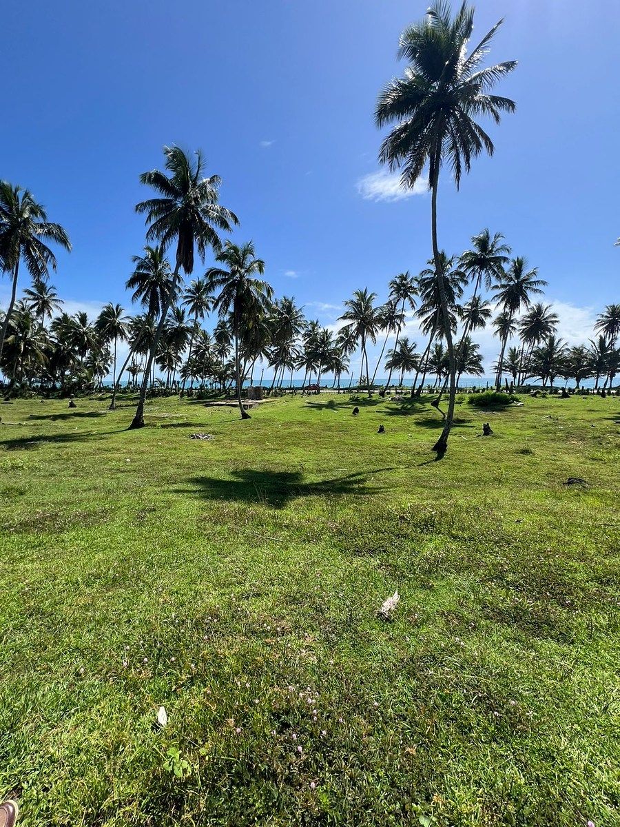 Terreno en Nagua, foto 6 de 10
