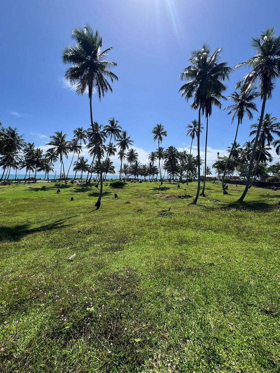 Terreno en Nagua, foto 7 de 10