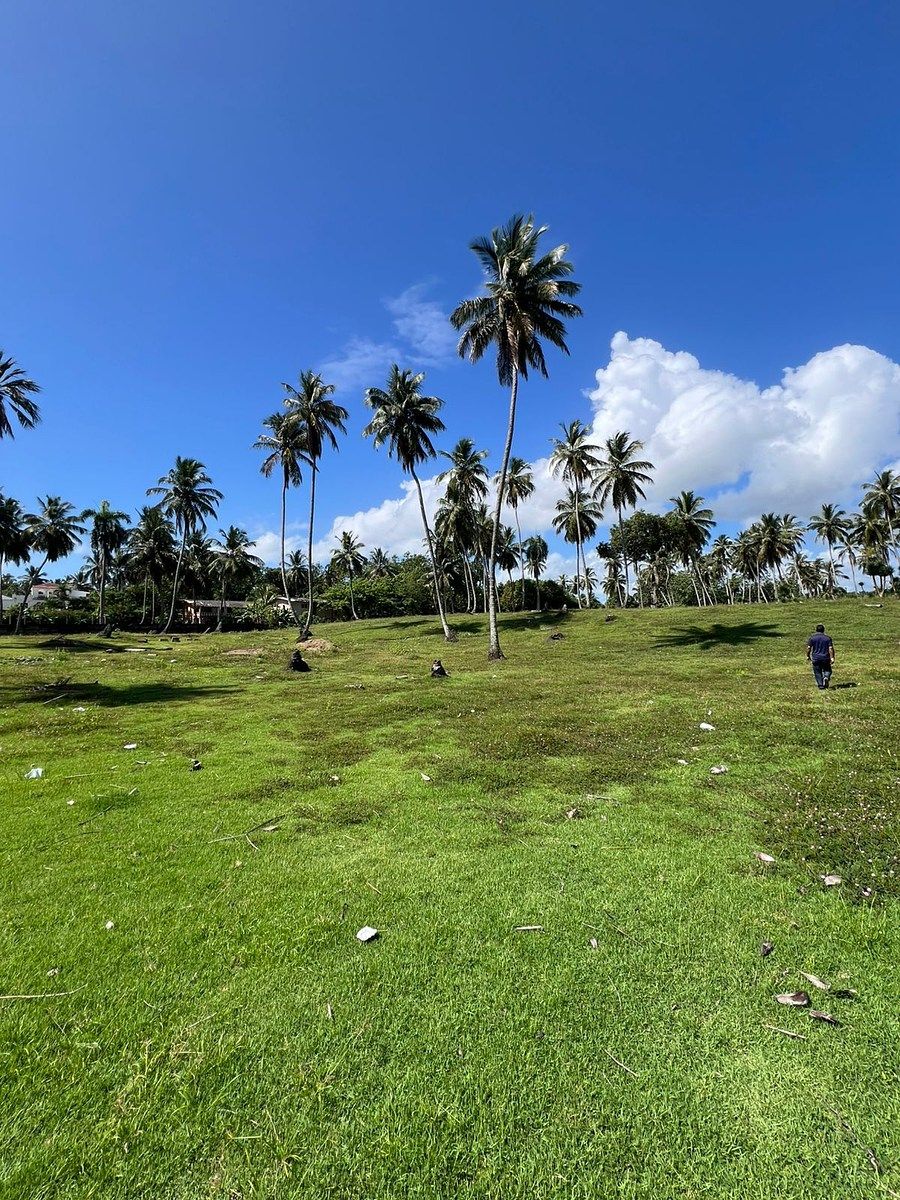 Terreno en Nagua, foto 9 de 10