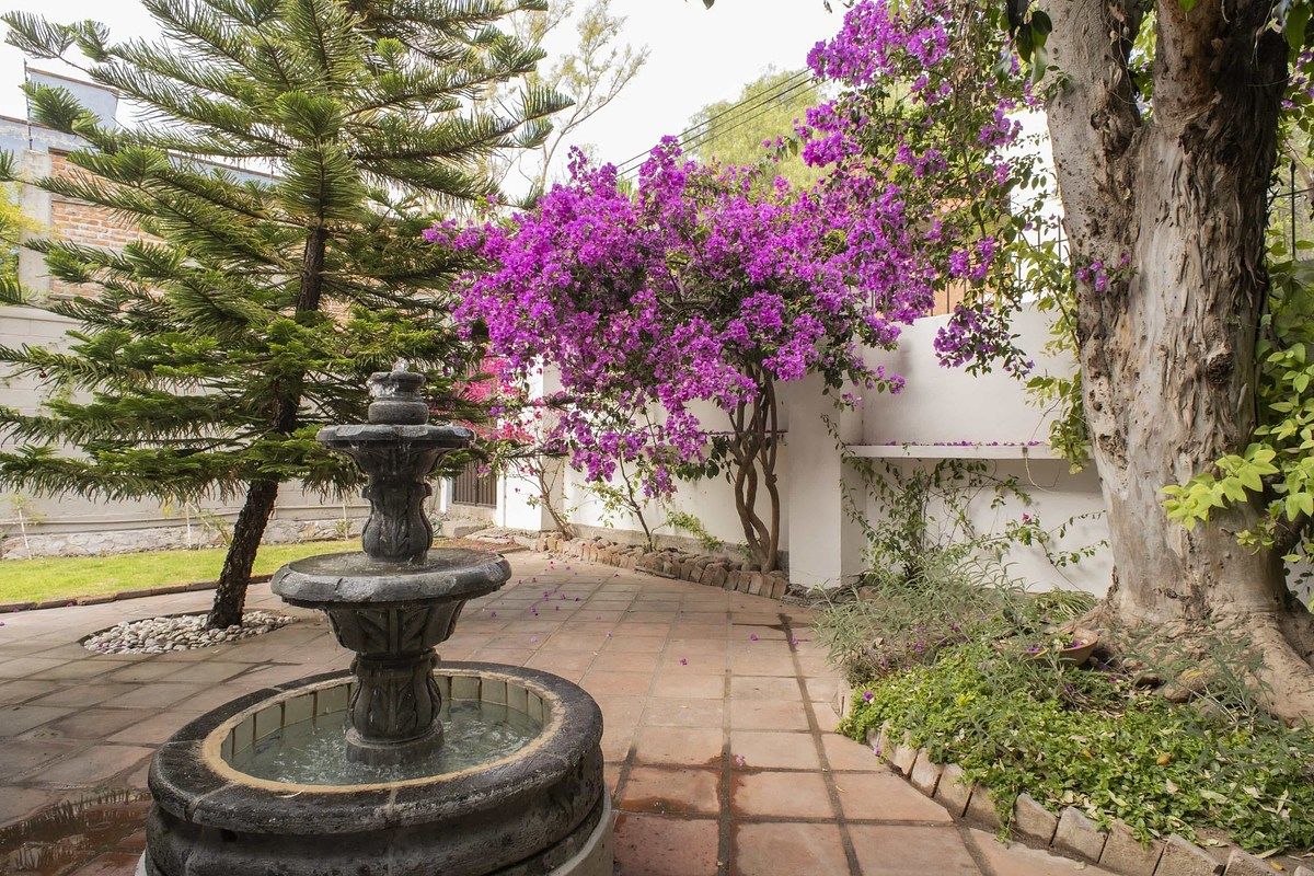 Casa em Villa de los Frailes, San Miguel de Allende, foto 21 de 31