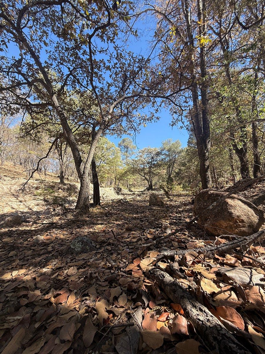 Lote em Lomas Santa Teresa, Villa Hidalgo, foto 16 de 27