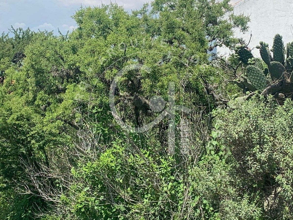 Sale of magnificent land in AMANALI Country Club - foto 3