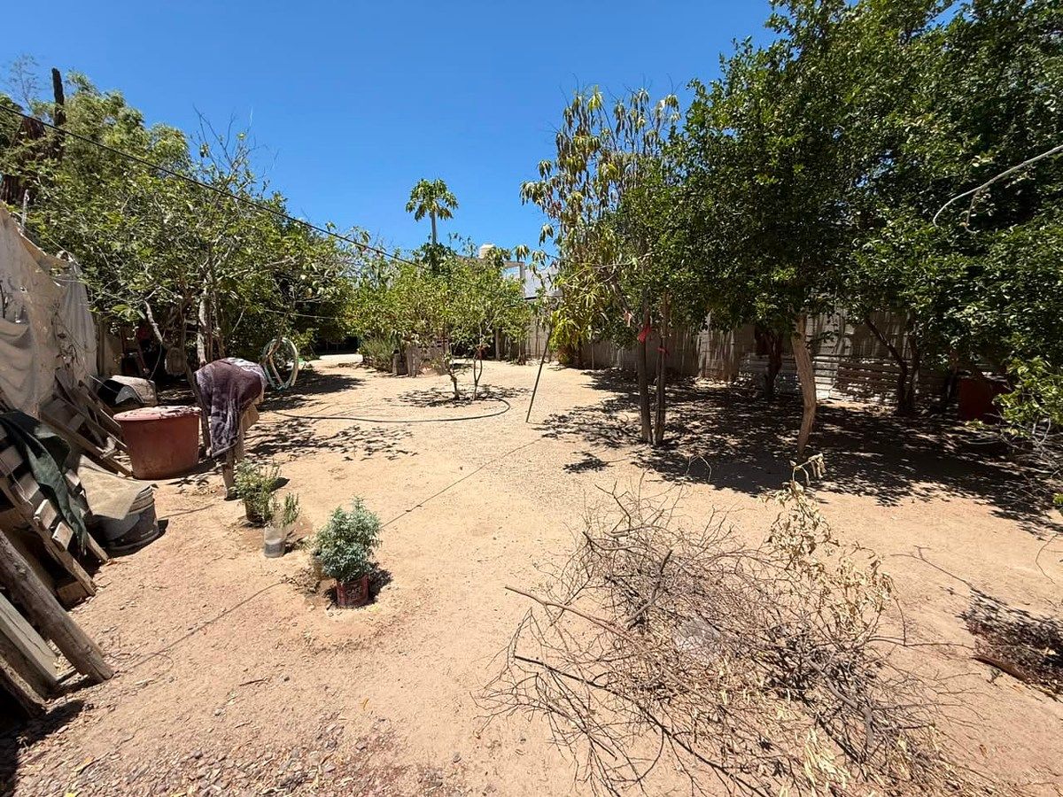 6 de 15