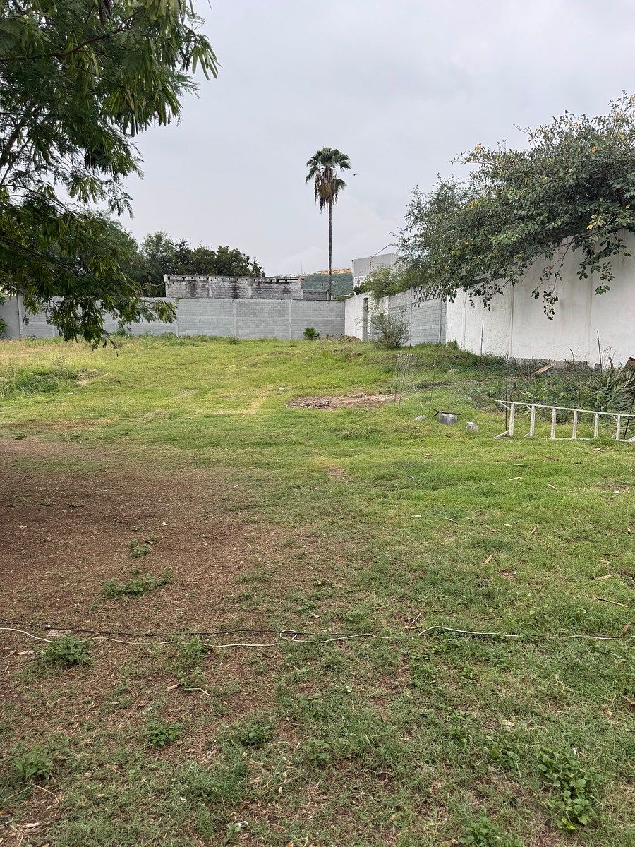 5 de 10