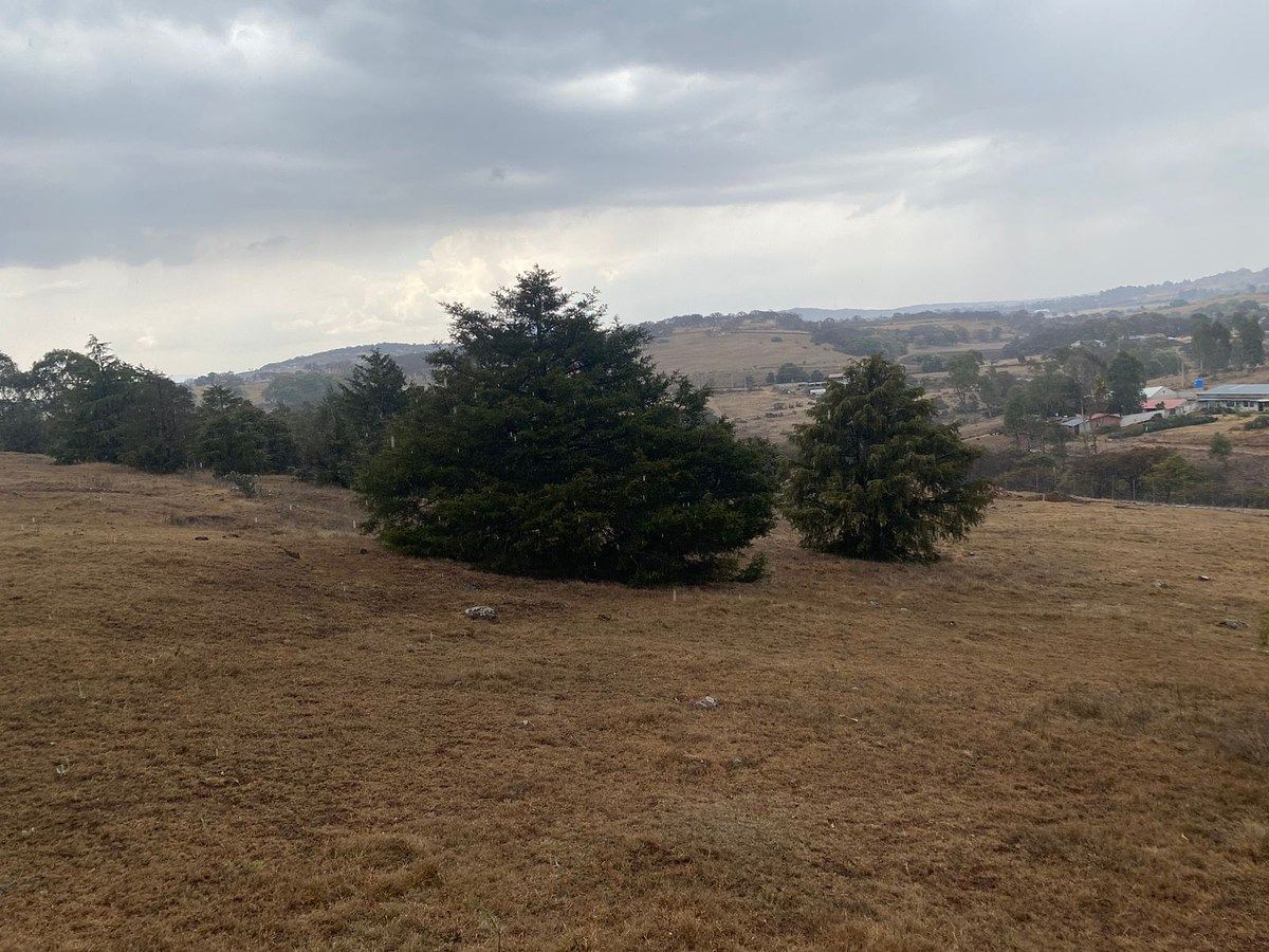 Lote comercial em Donicá, Amealco de Bonfil, foto 3 de 7