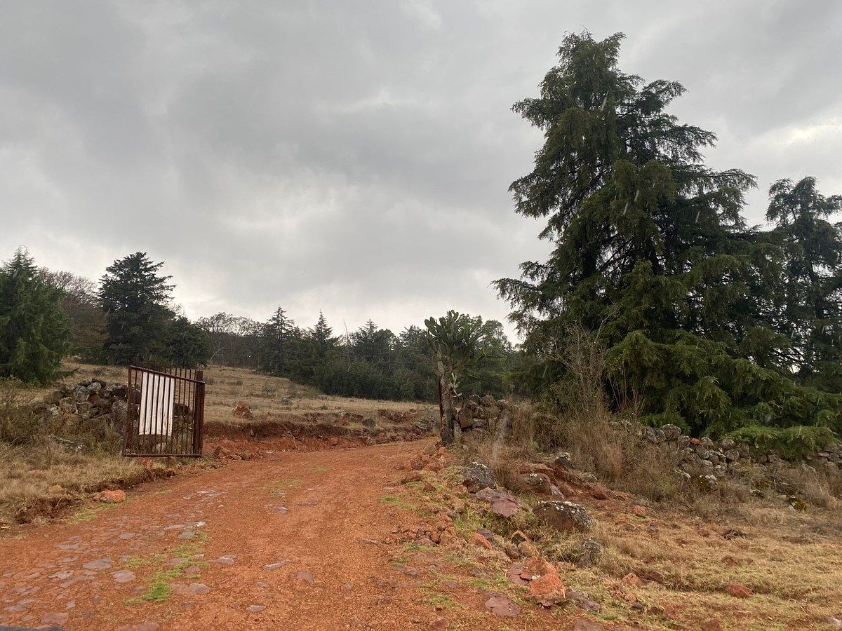 Lote comercial em Donicá, Amealco de Bonfil, foto 5 de 7