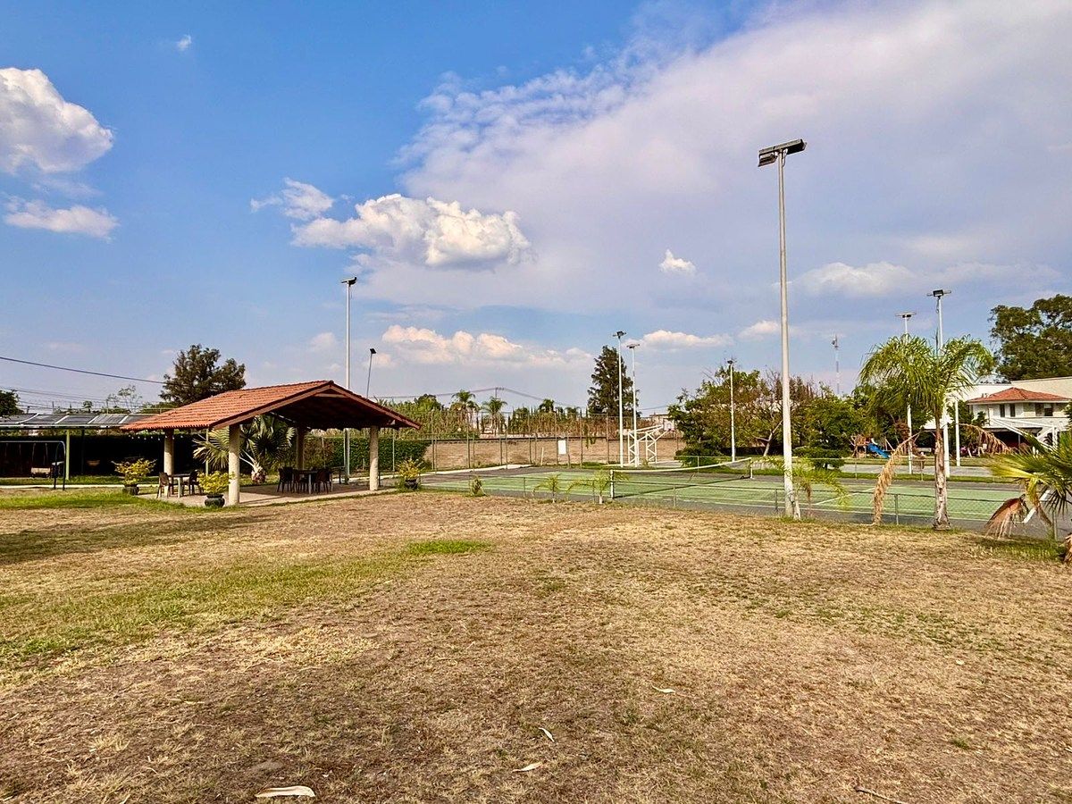11 de 12