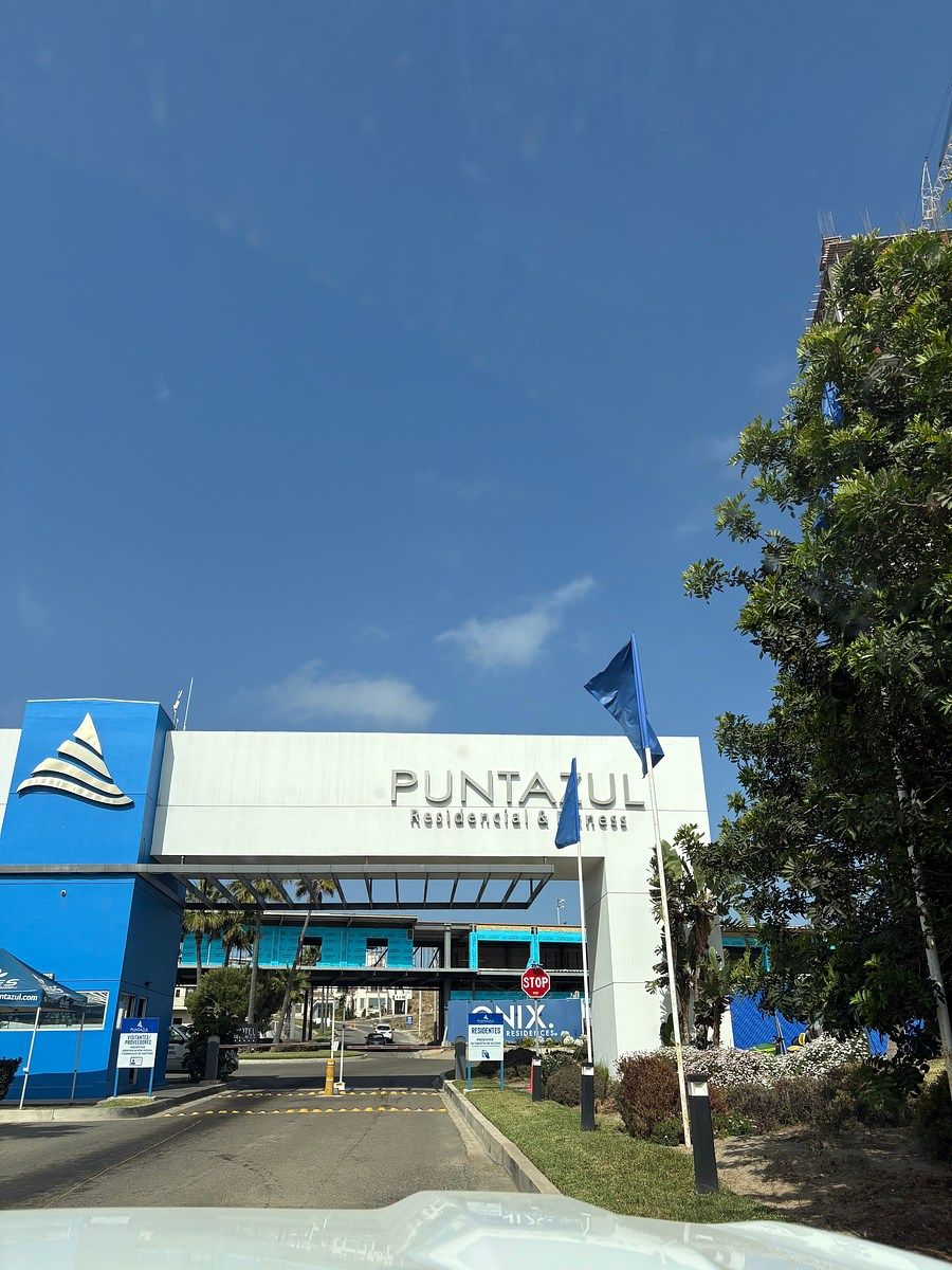 3 de 24