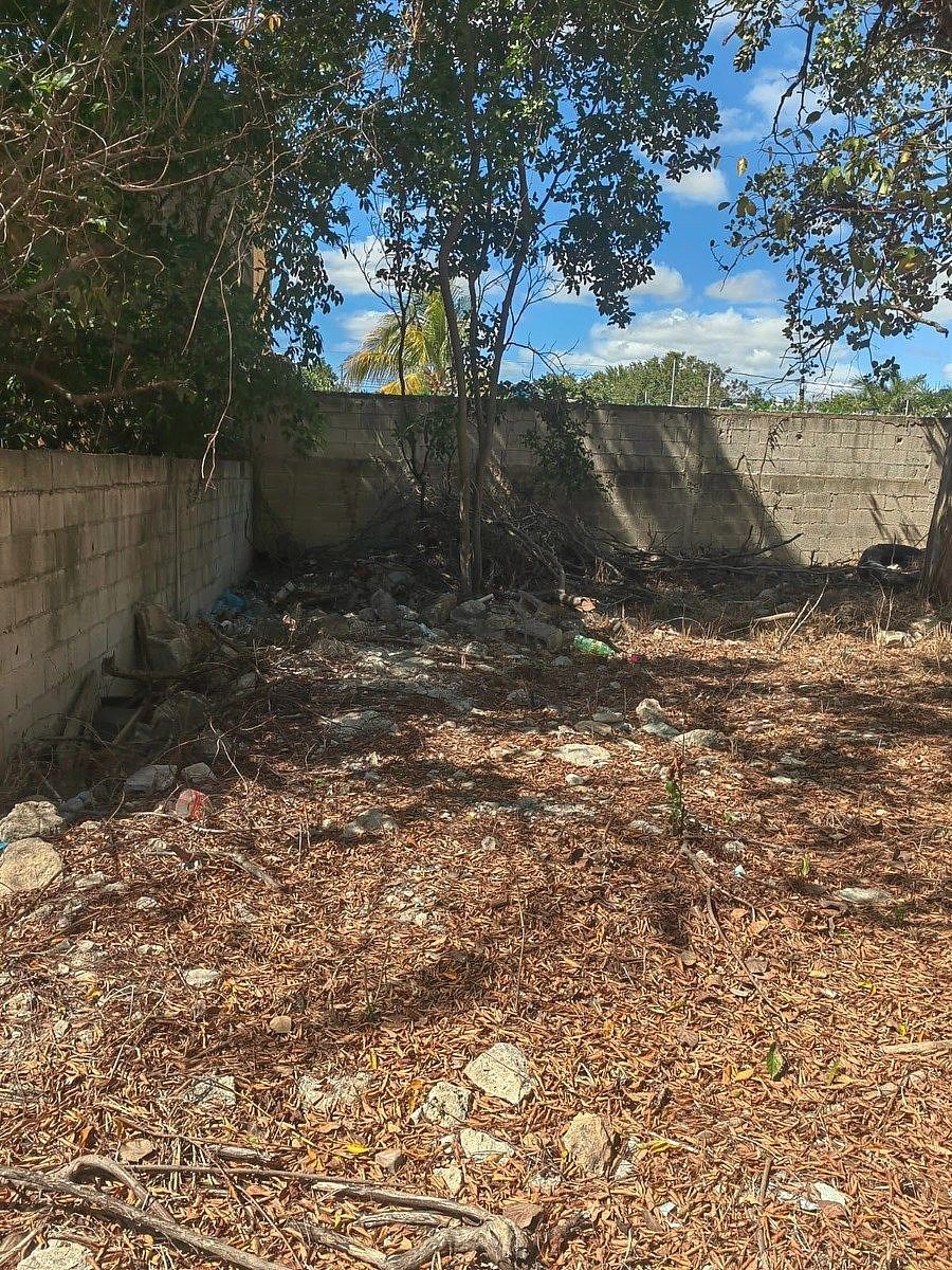 Lot in San Damián, Mérida, photo 5 of 11