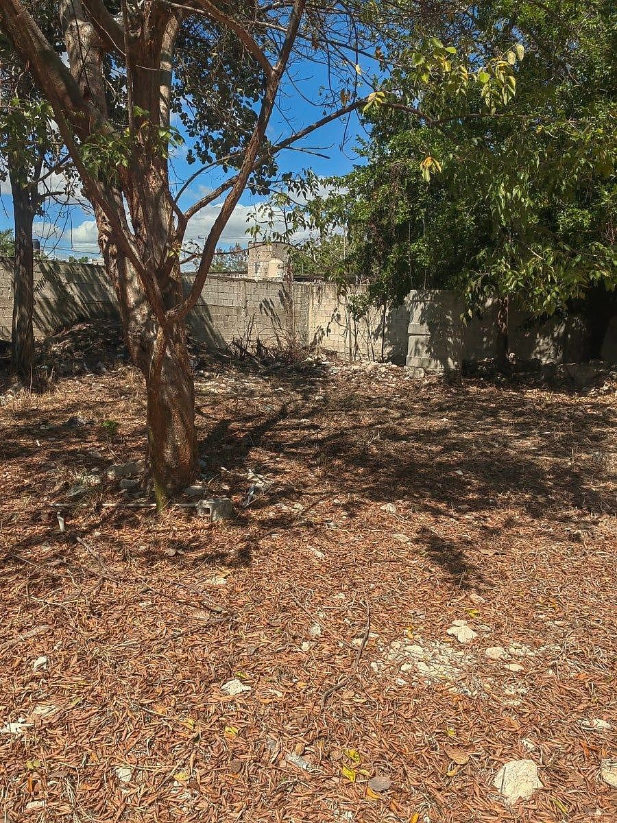 Lot in San Damián, Mérida, photo 6 of 11