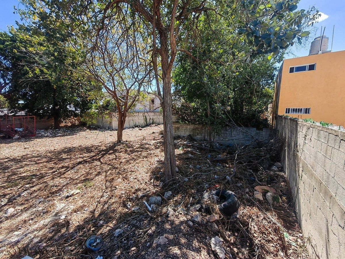 Lot in San Damián, Mérida, photo 7 of 11