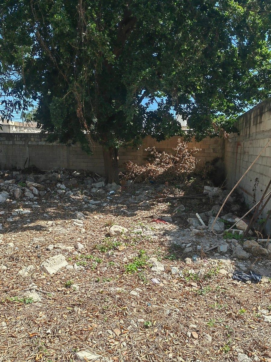 Lot in San Damián, Mérida, photo 9 of 11