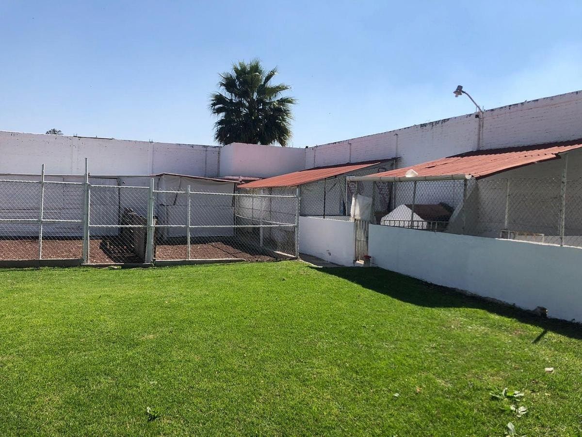 Ranch in La Planada, Coyotepec, photo 5 of 13