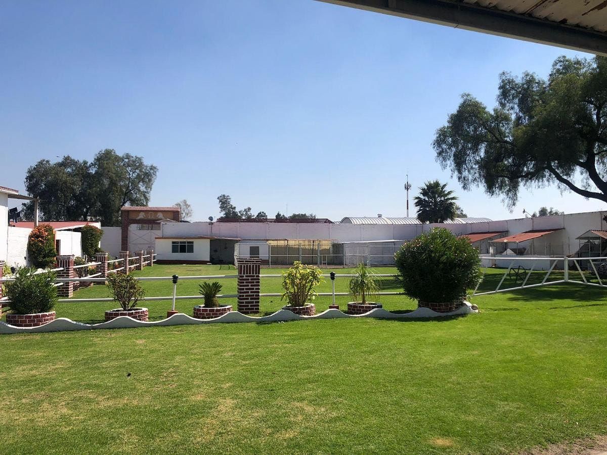 Ranch in La Planada, Coyotepec, photo 6 of 13