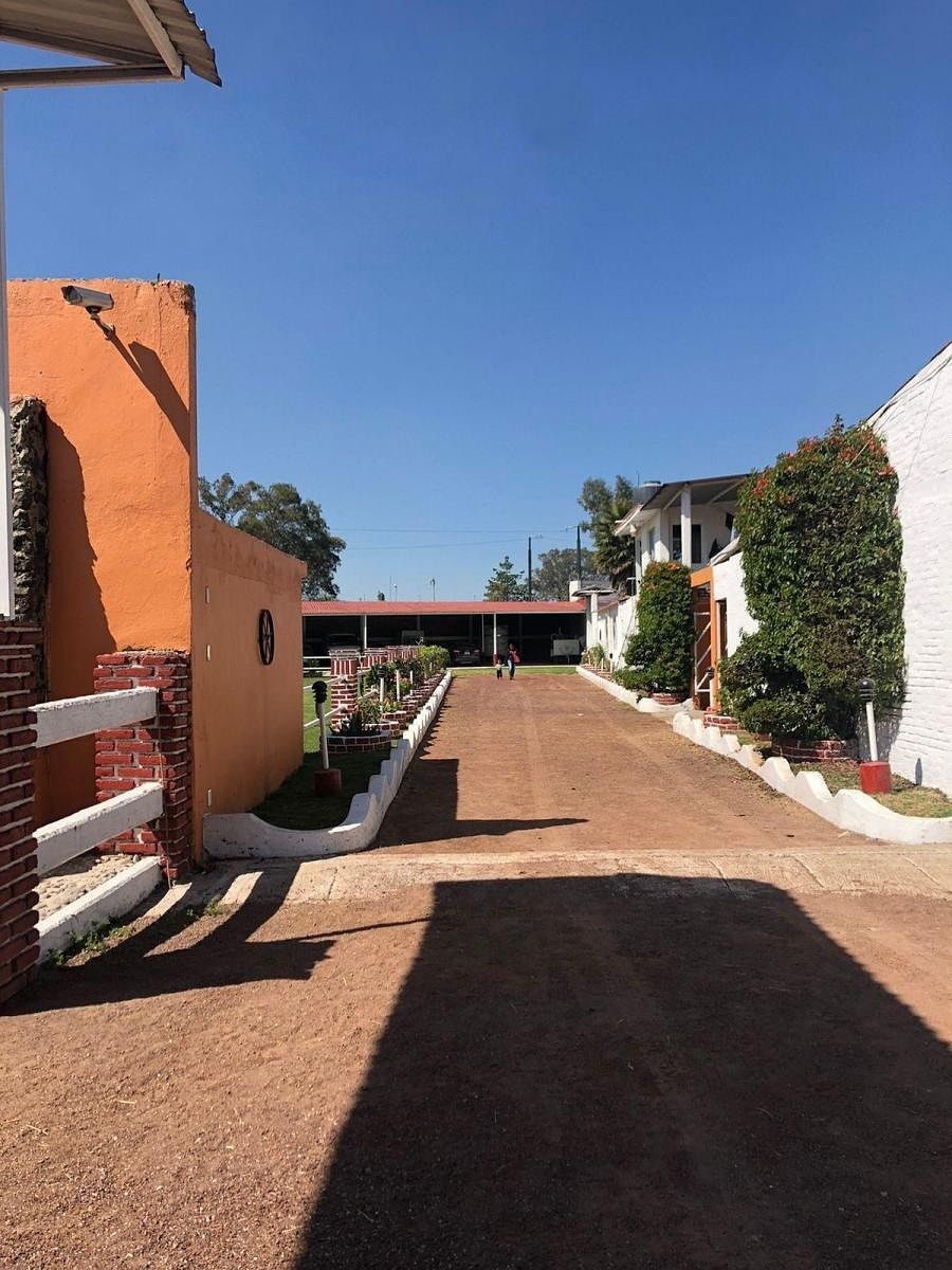 Ranch in La Planada, Coyotepec, photo 10 of 13