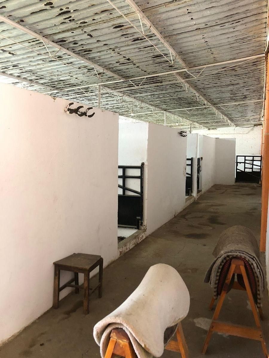 Ranch in La Planada, Coyotepec, photo 11 of 13
