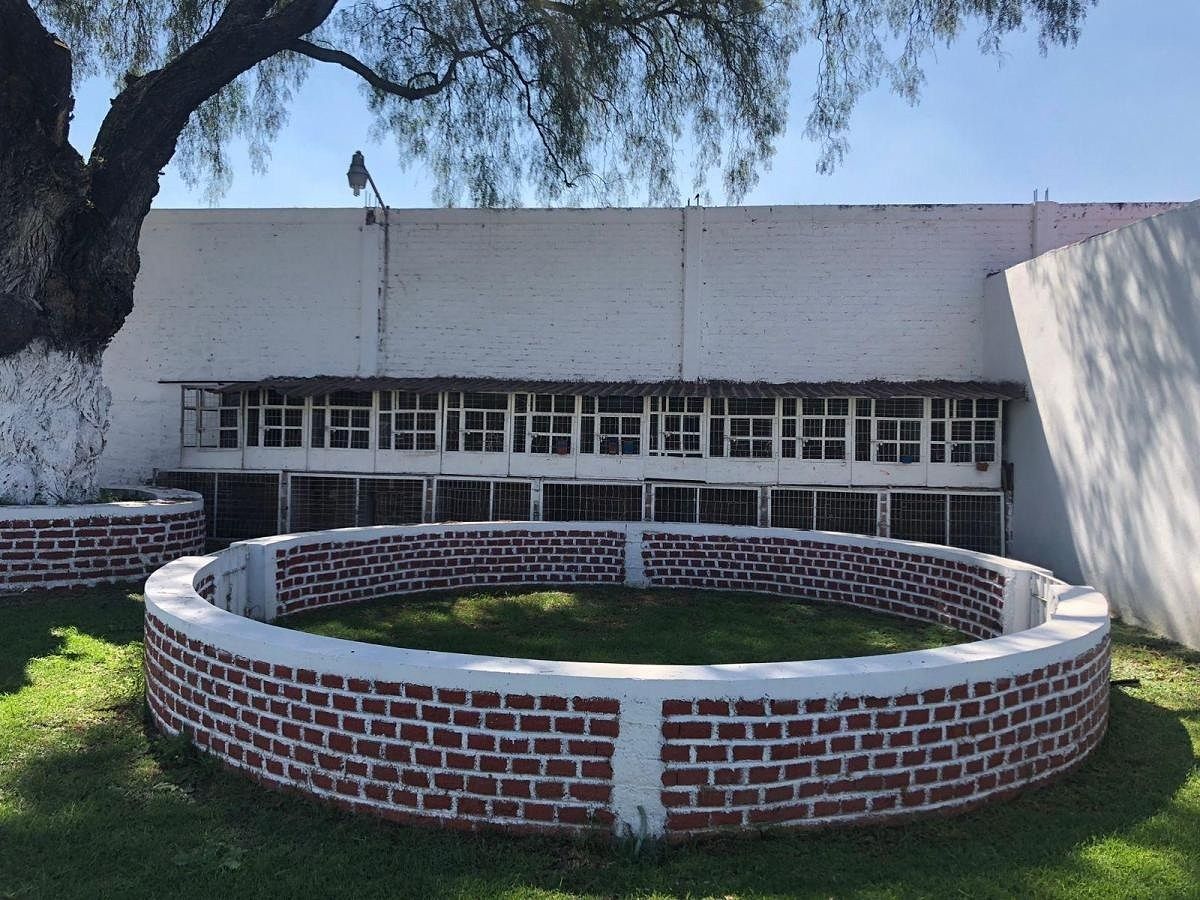 Ranch in La Planada, Coyotepec, photo 12 of 13