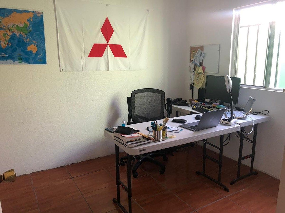 6 de 11