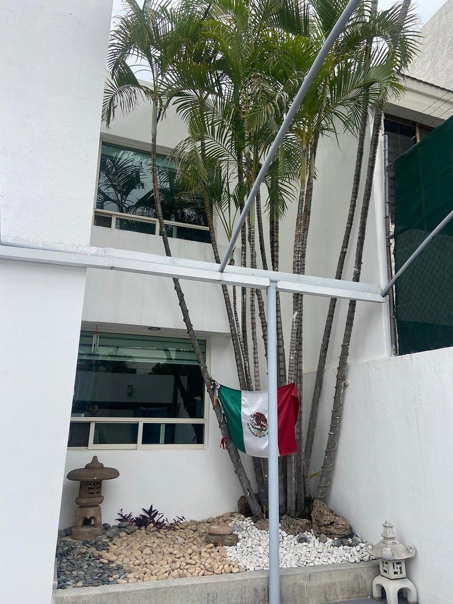 12 de 29
