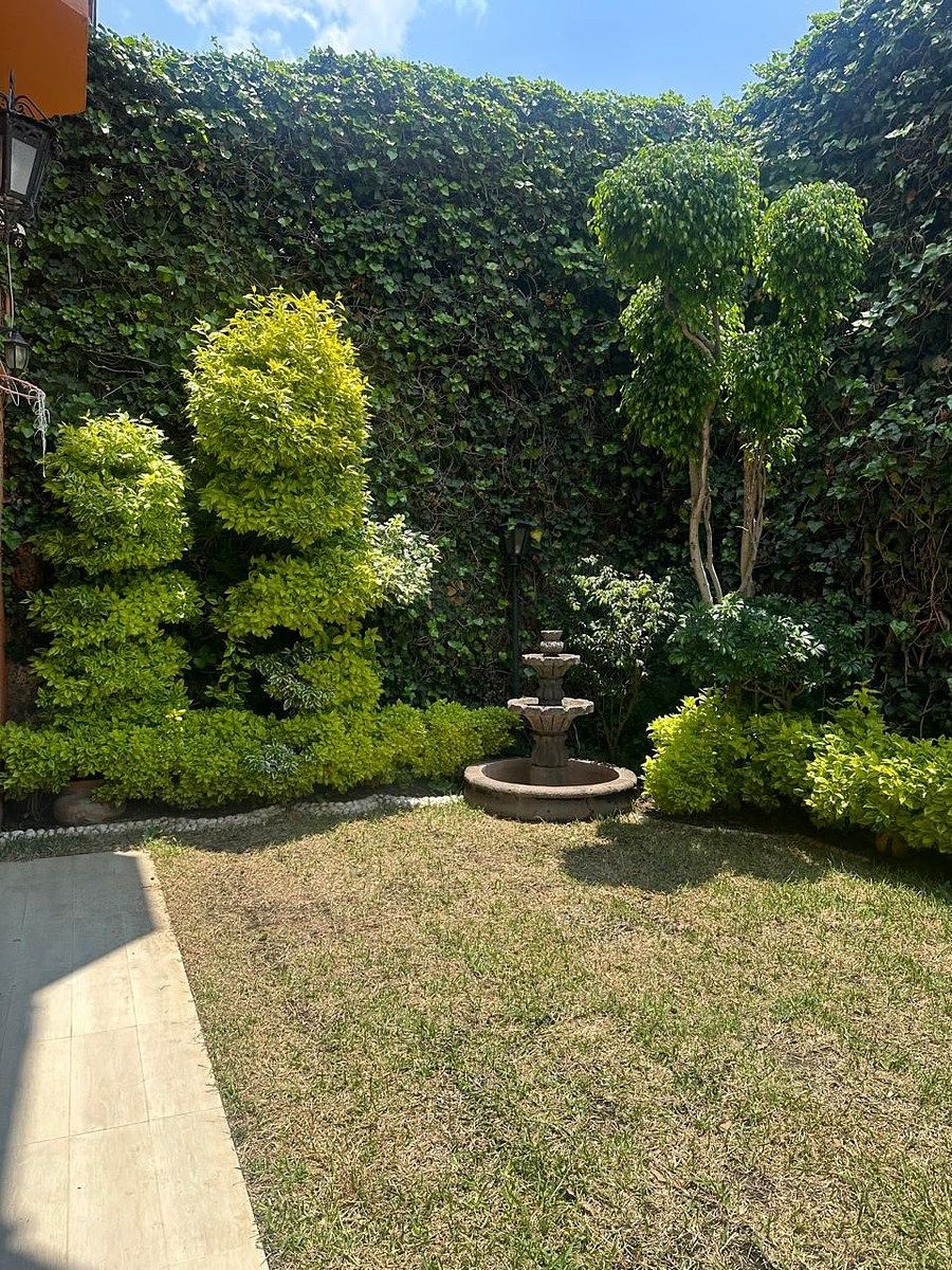 23 de 27: Jardin