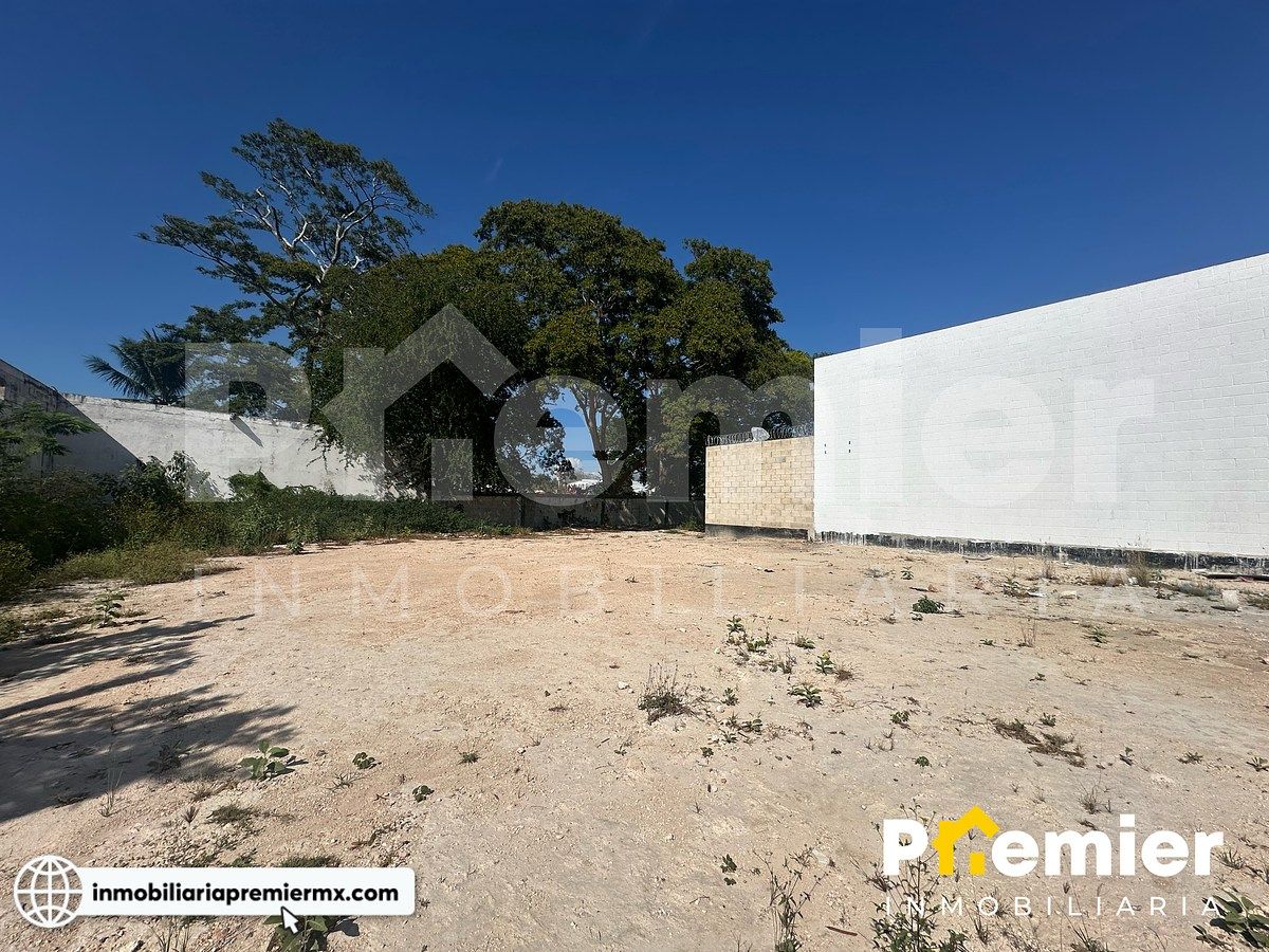 Lote comercial em Venustiano Carranza, Champotón, foto 14 de 14