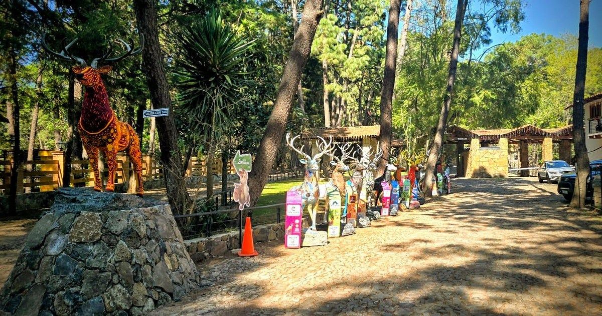 Terreno en Mazamitla, Mazamitla, foto 17 de 22