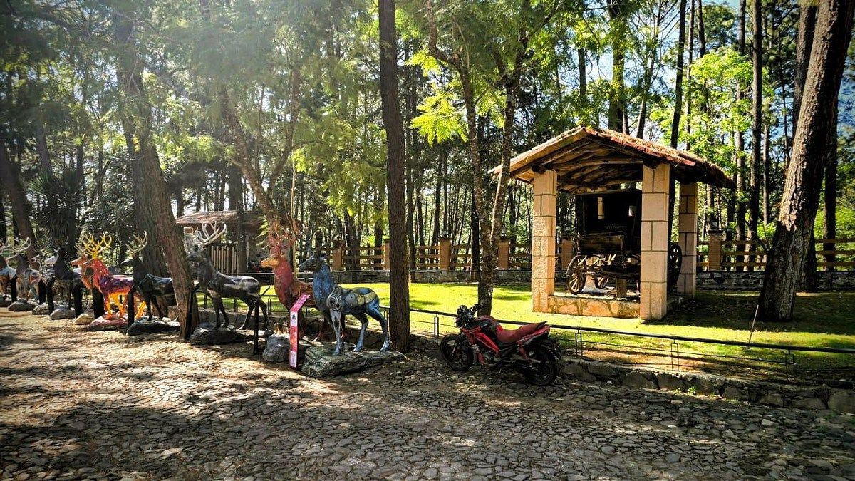 Terreno en Mazamitla, Mazamitla, foto 20 de 22