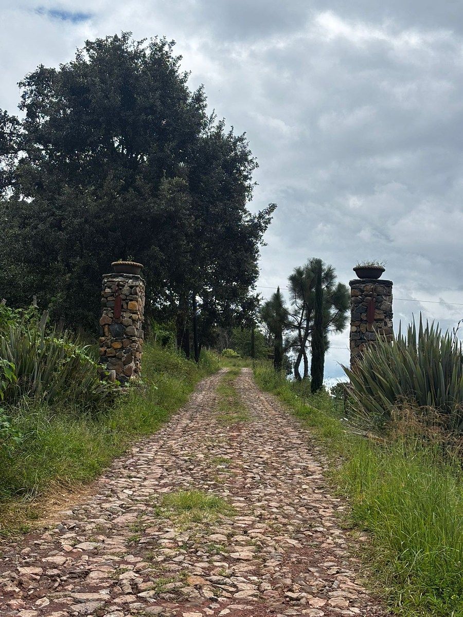 2 de 4