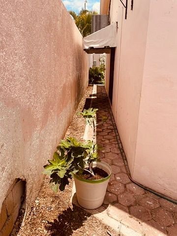 House in Monte Alban, Mérida, photo 19 of 29