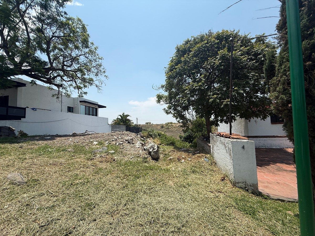 6 de 18