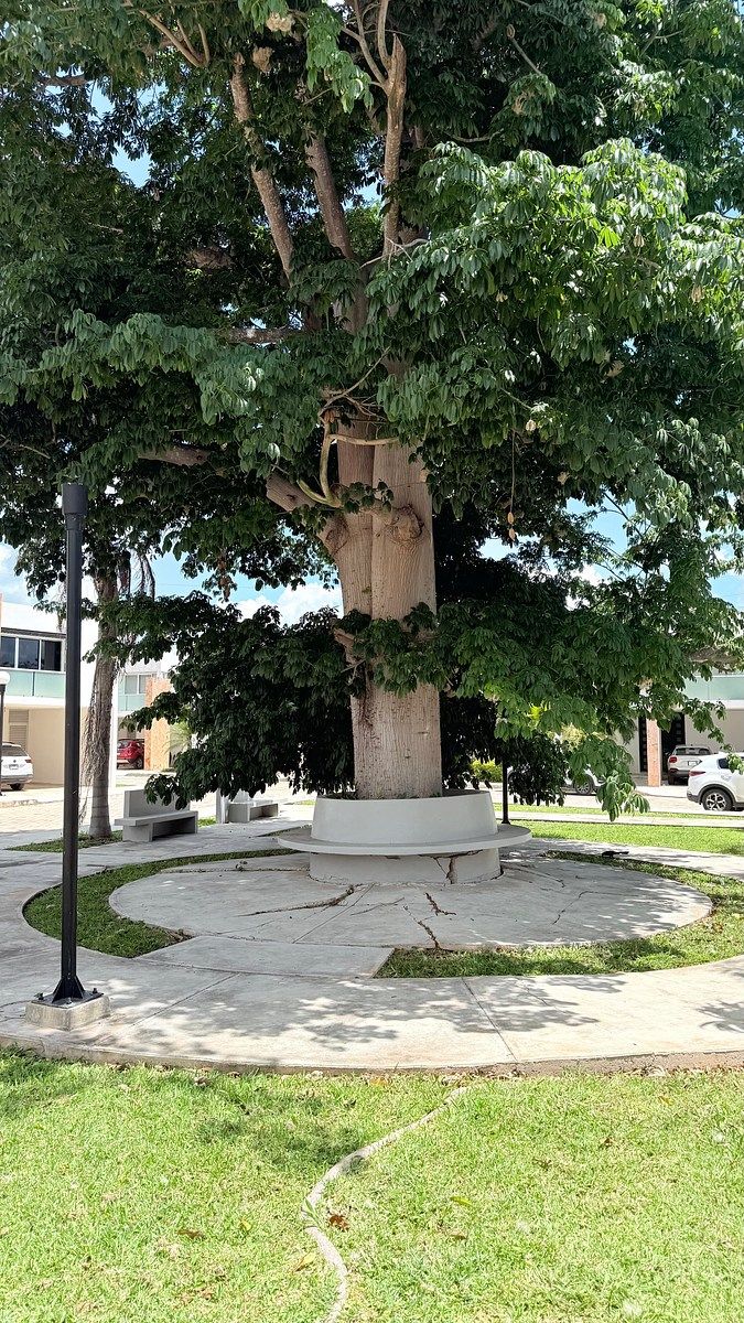 Casa en condominio en Santa Gertrudis Copo, Mérida, foto 2 de 25