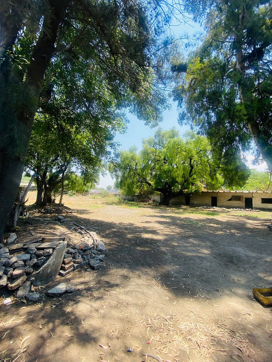 Terreno comercial en San Vicente Chicoloapan de Juárez Centro, Chicoloapan, foto 3 de 9